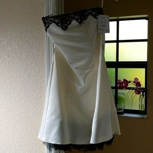 Strapless Cocktail Dress with Black Lace Detail